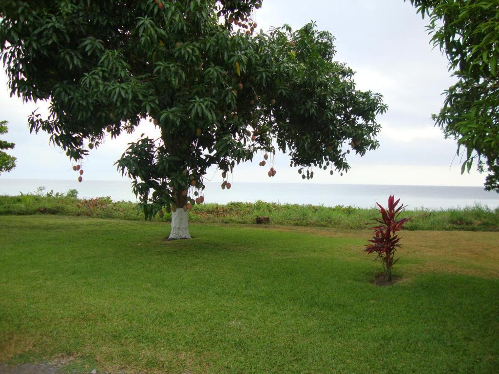 By The Sea Vacation Home And Villa Port Antonio Kamer foto